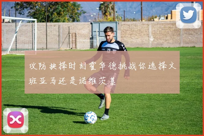 攻防抉择时刻霍华德挑战你选择文班亚马还是诺维茨基